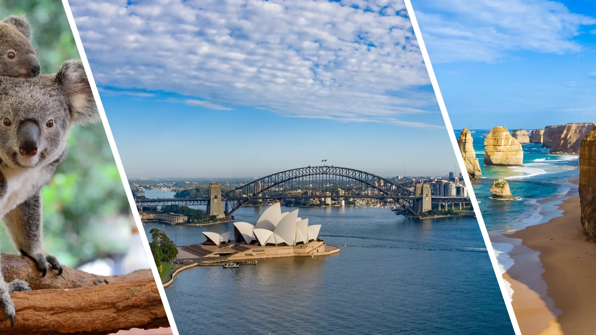 MBAs in Australia